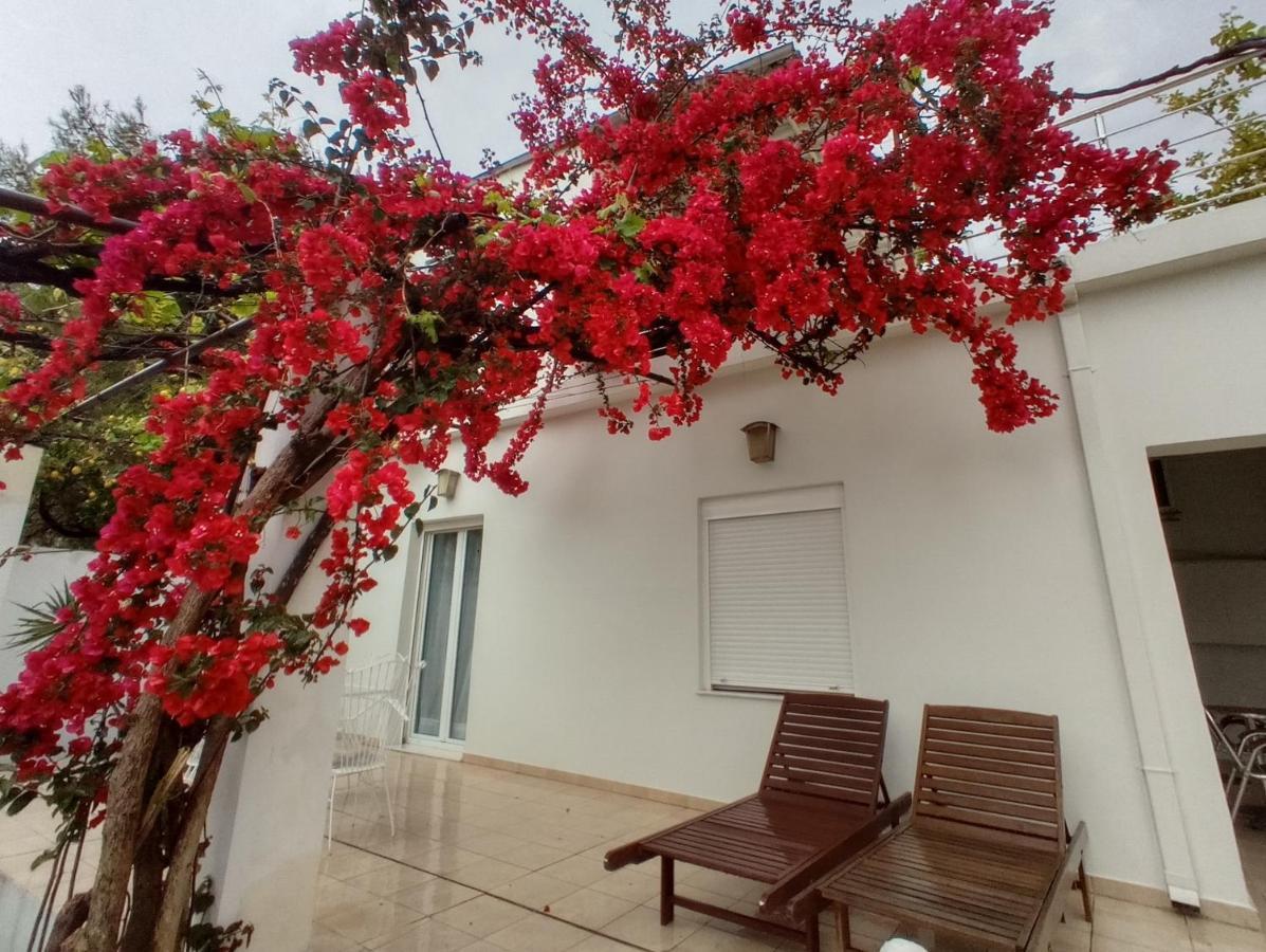 Stamatias Home, Fully Equipped Cottage 5 Minutes From The Sea Chania  Exteriér fotografie
